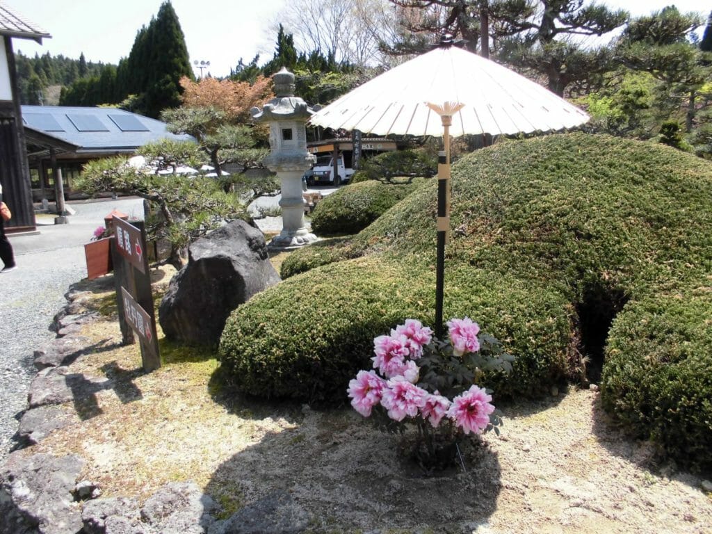 永沢寺 ぼたん園の写真